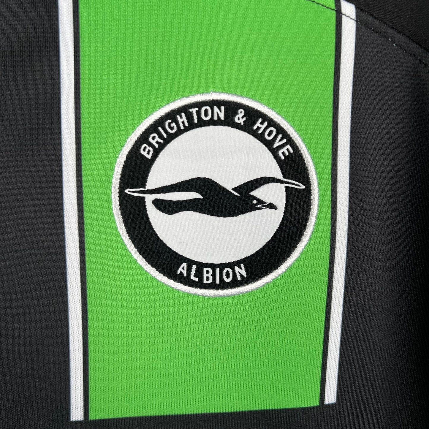 Brighton Alternativa 23/24
