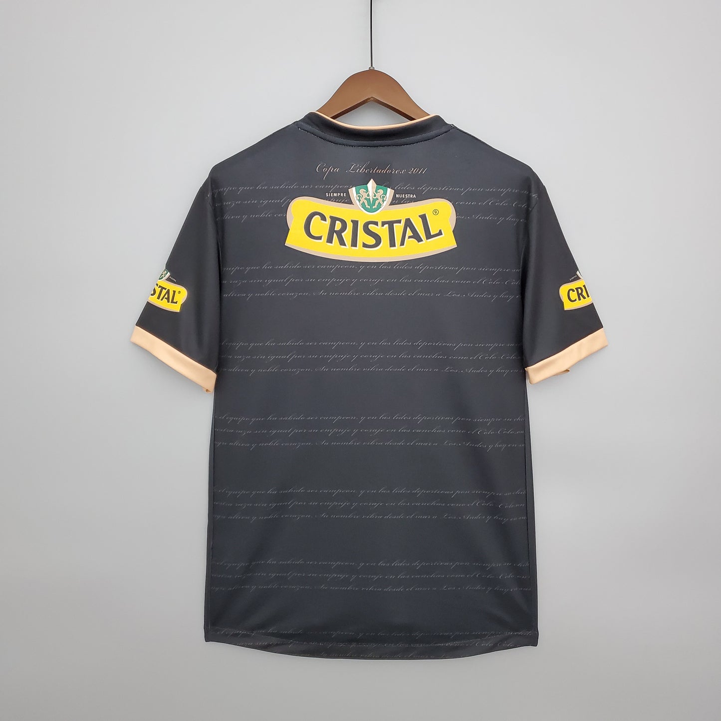 Colo Colo Alternativa 2011