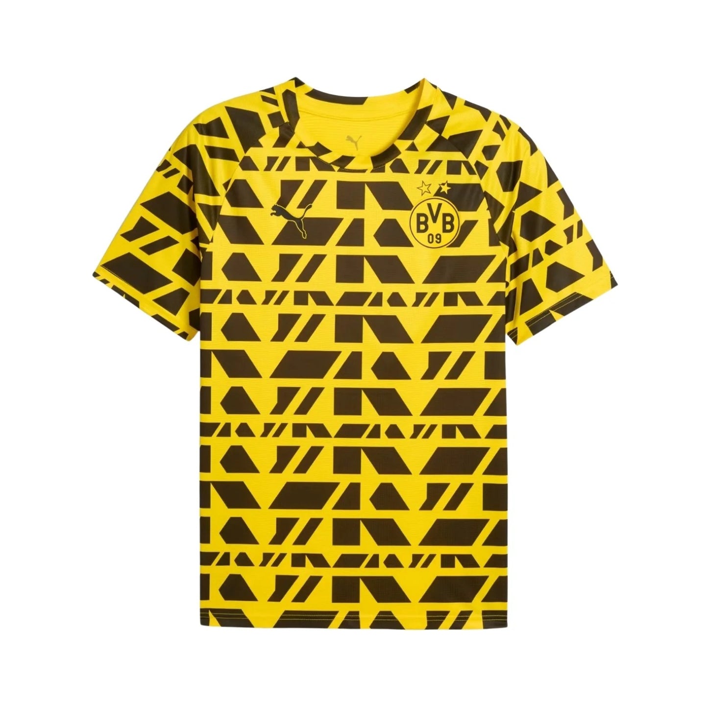 Borussia Dortmund Pré-Jogo 25/26